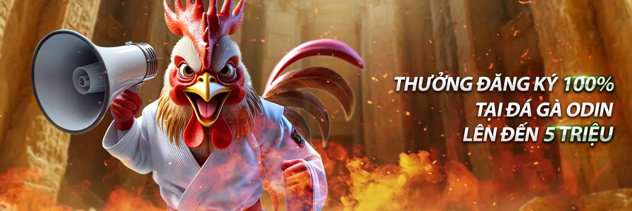 Khuyến Mãi 88t Bùng Nổ 2026